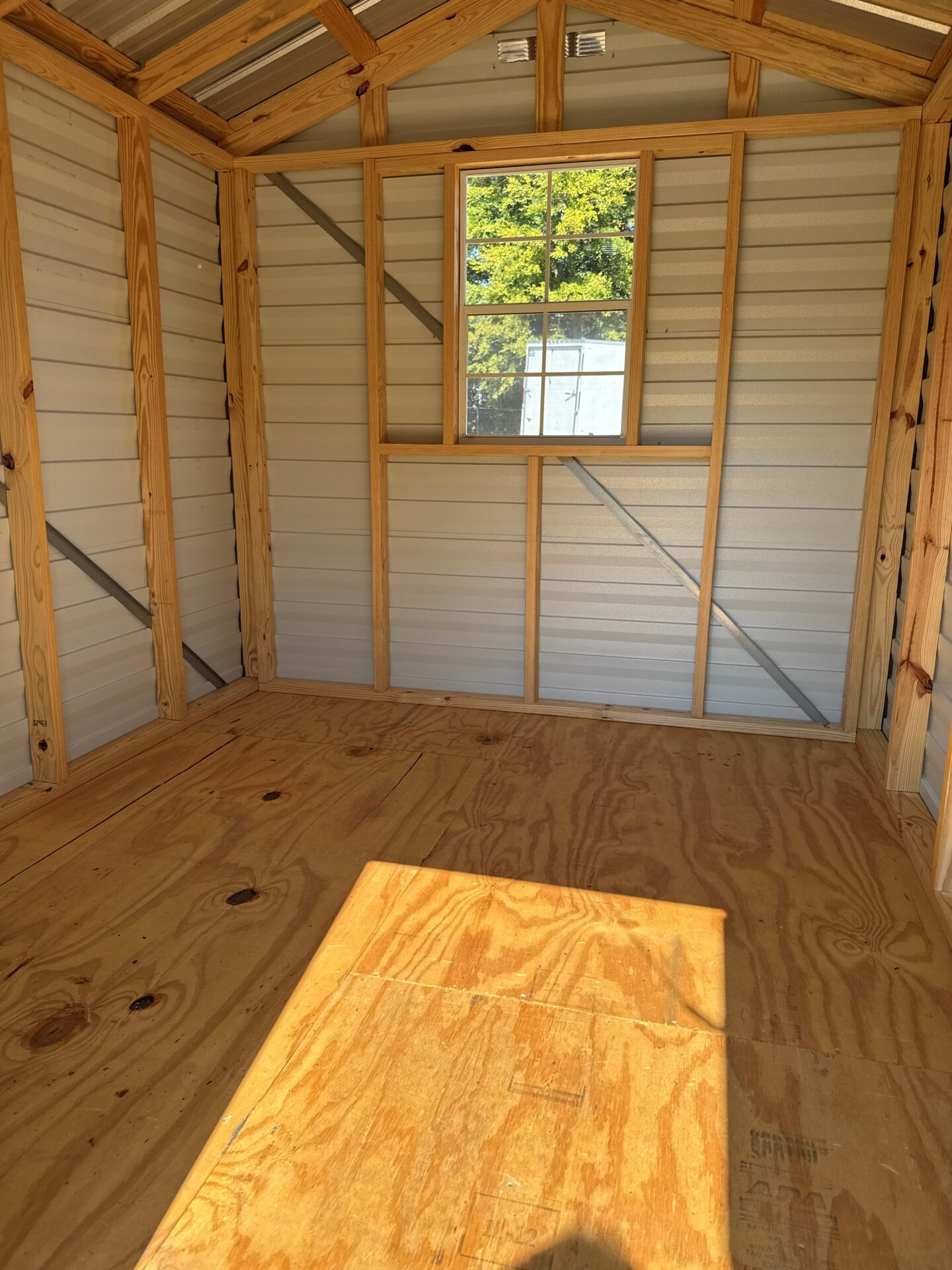 Interior 8x10 Scratch and Dent Ridgeline Shed with plywood floor, exposed studs, metal roof, sunlit window, green trees outside.
