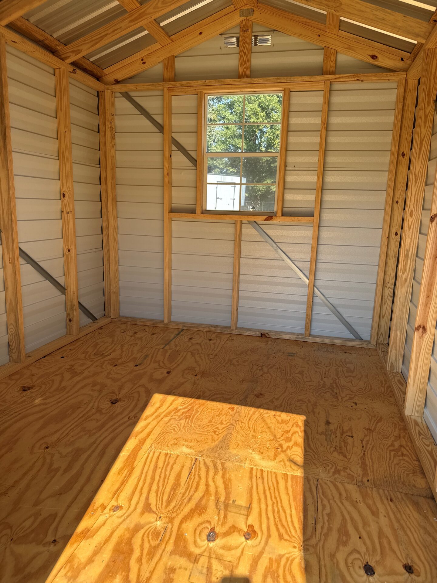 The interior of the 8x10 Scratch and Dent - Ridgeline Shed has a plywood floor, bare wooden beams, metal siding, and sunlight through one window.